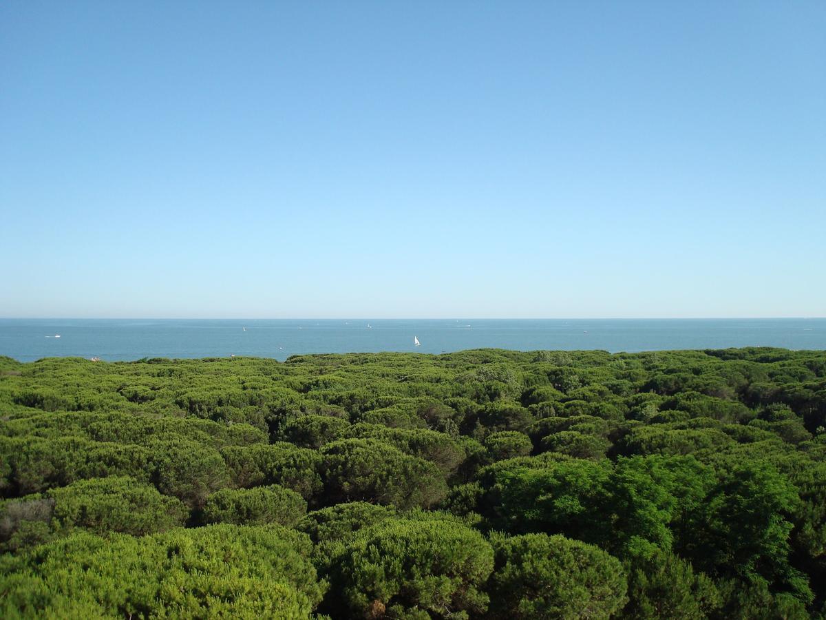 Hotel San Giorgio ميلانو ماريتيما المظهر الخارجي الصورة